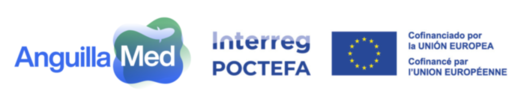 ANGUILLAMED Logo